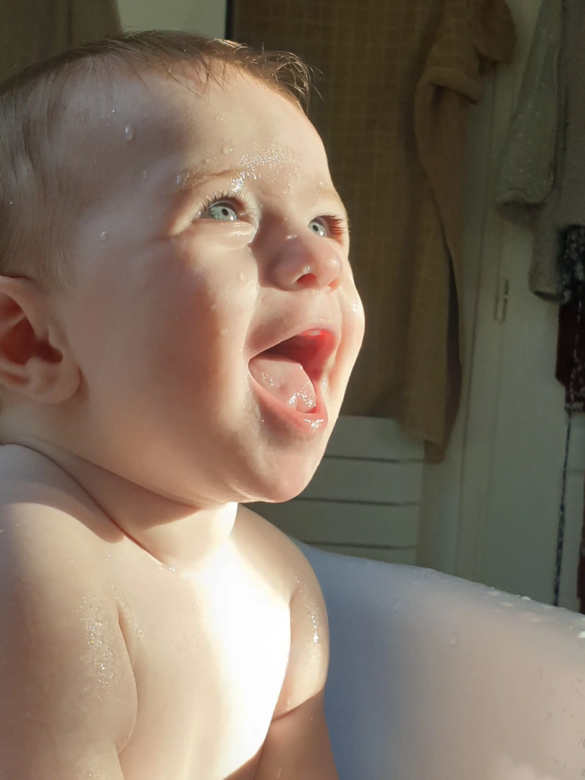 Le fils d'Abigail